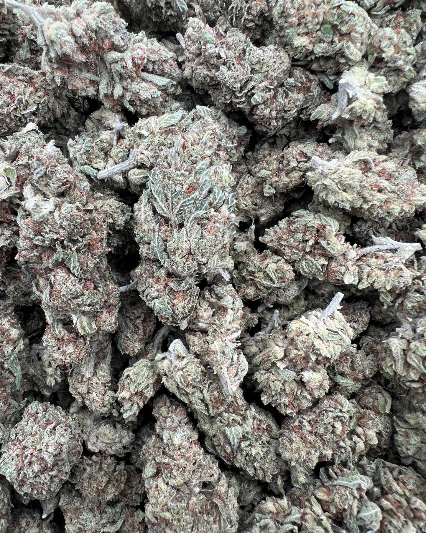Banana Kush