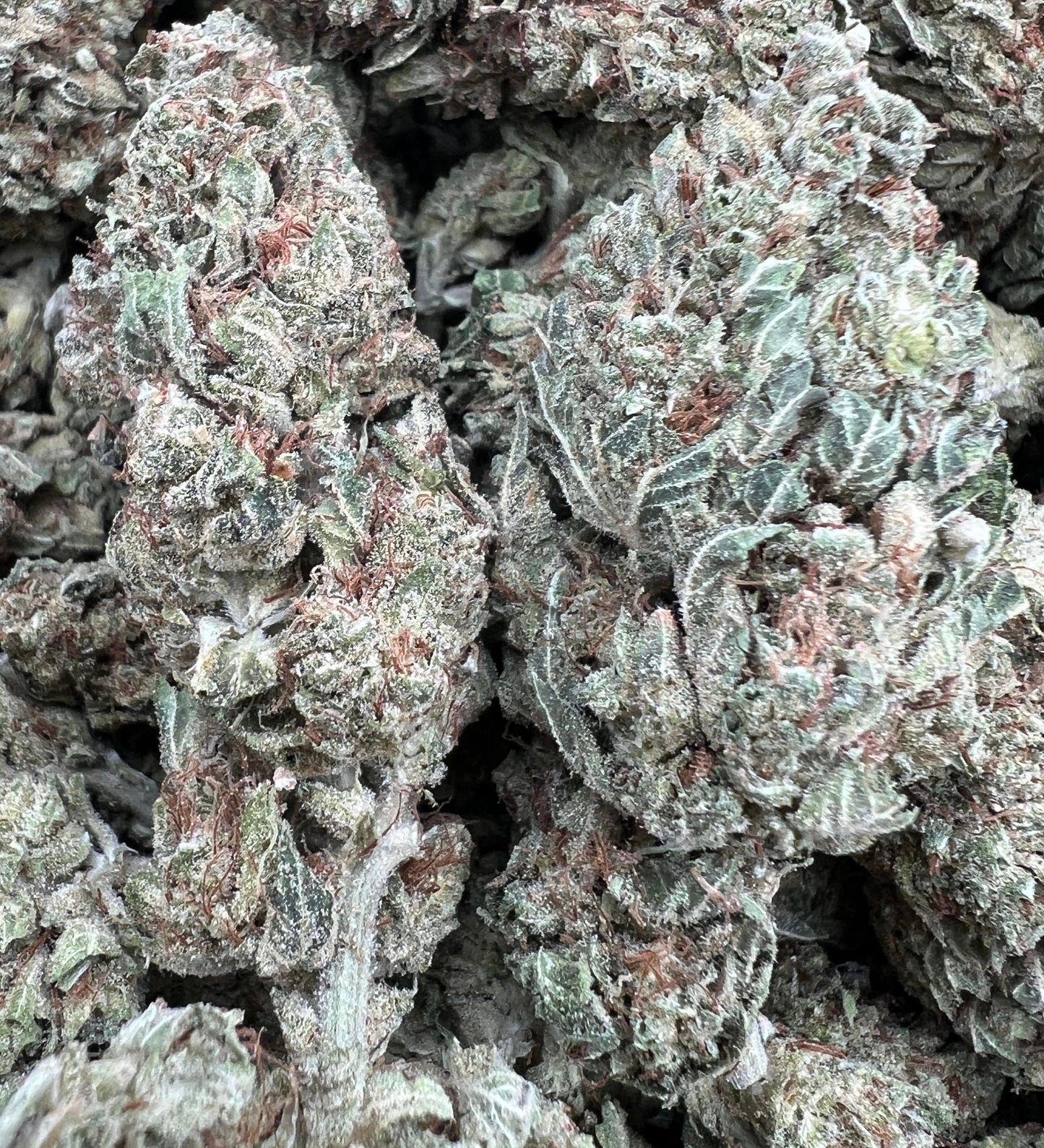 Banana Kush