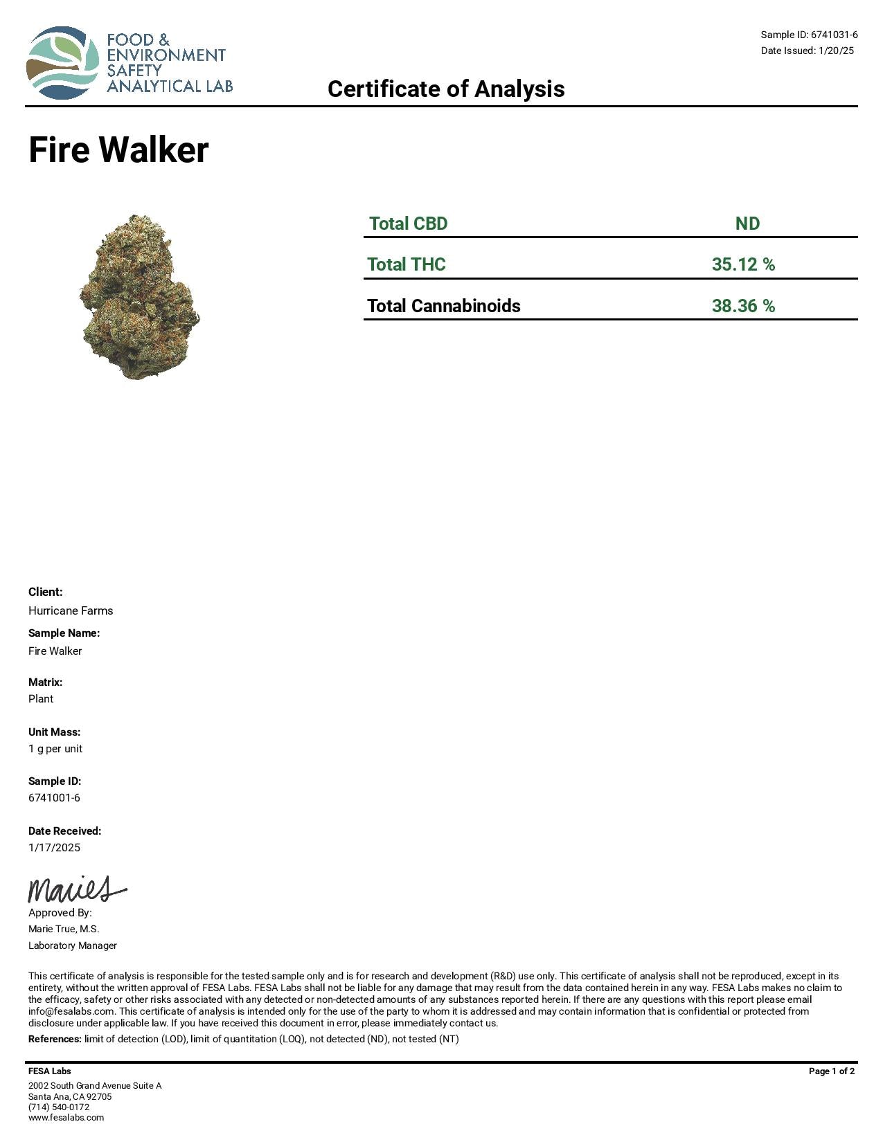 Fire Walker
