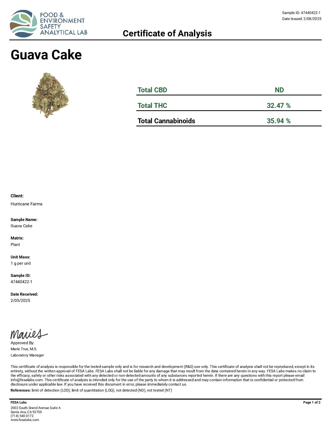 Guava Cake