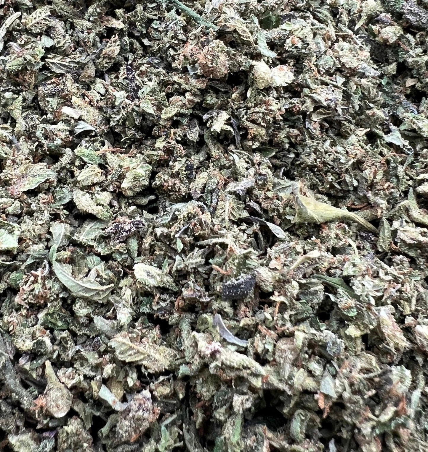 LCG Shake