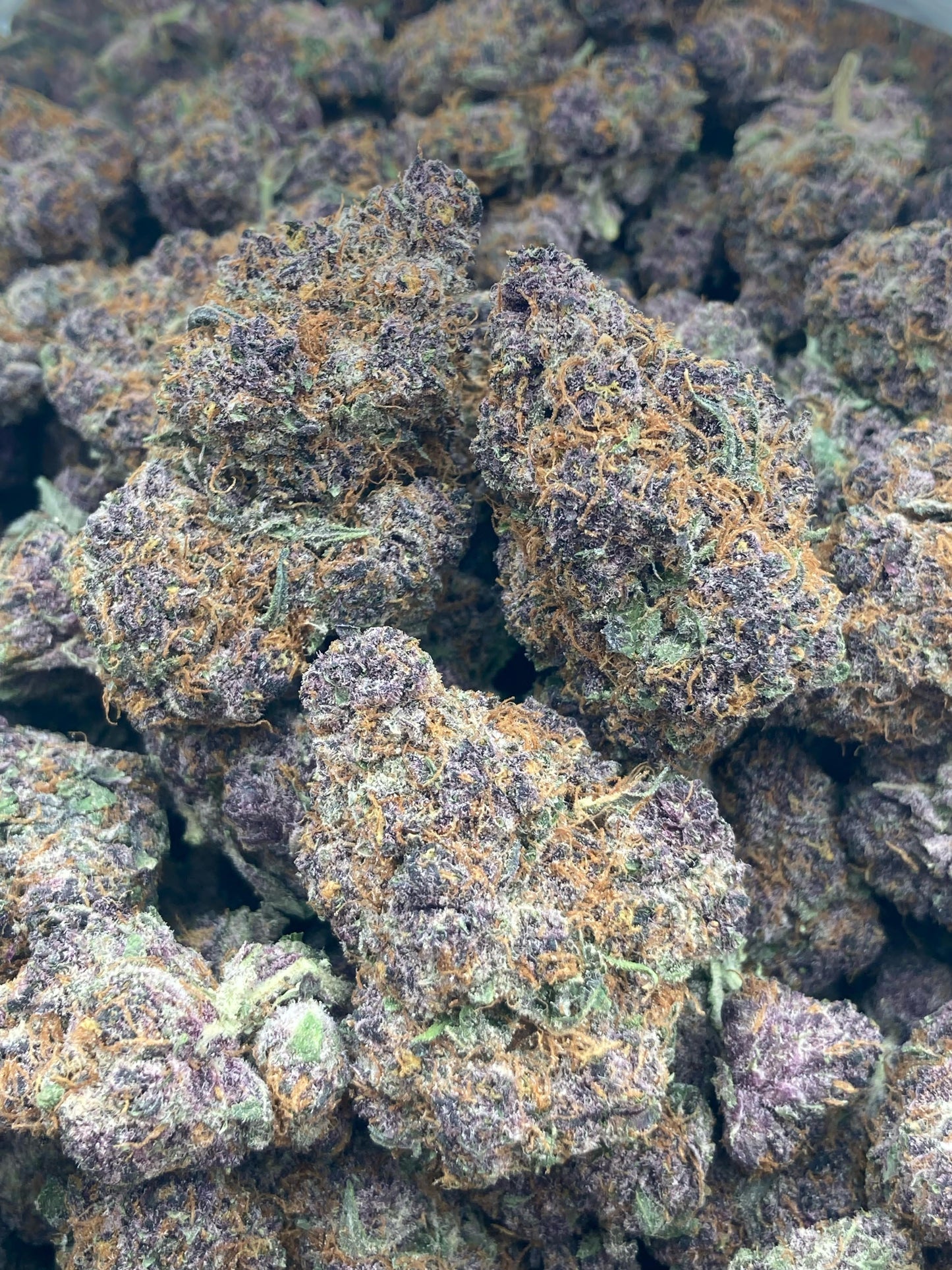 Raspberry Kush