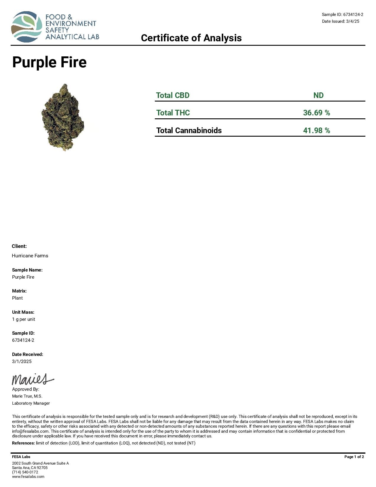 Purple Fire