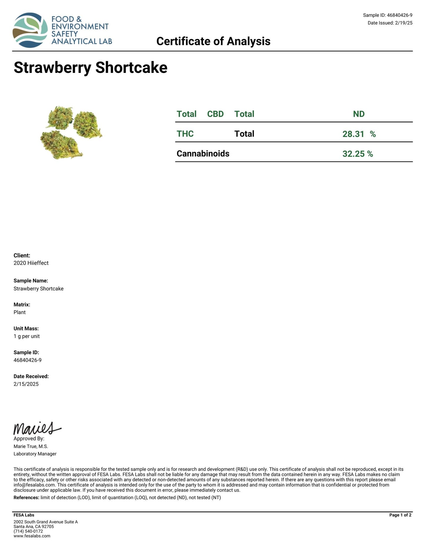 Strawberry Shortcake