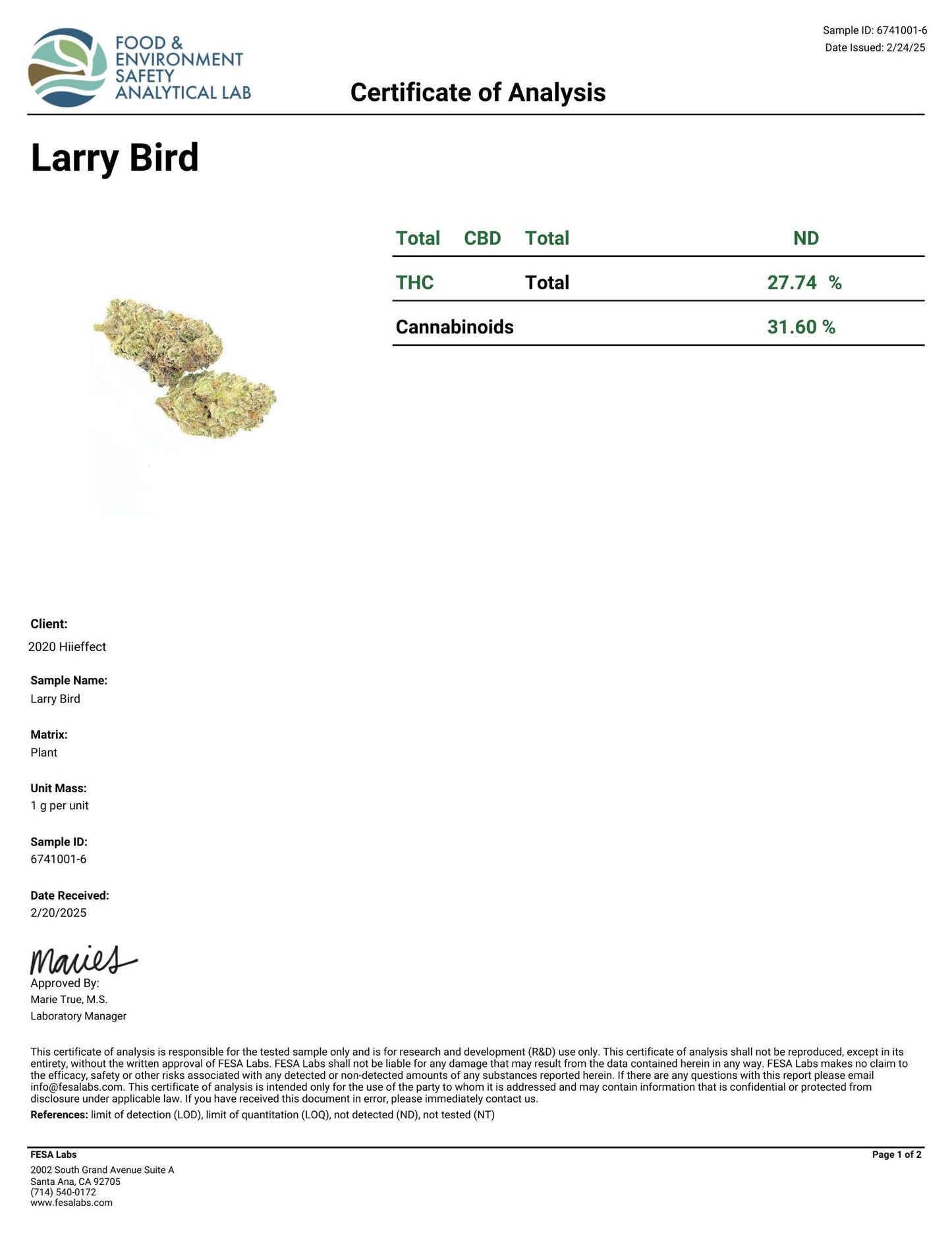 Larry Bird