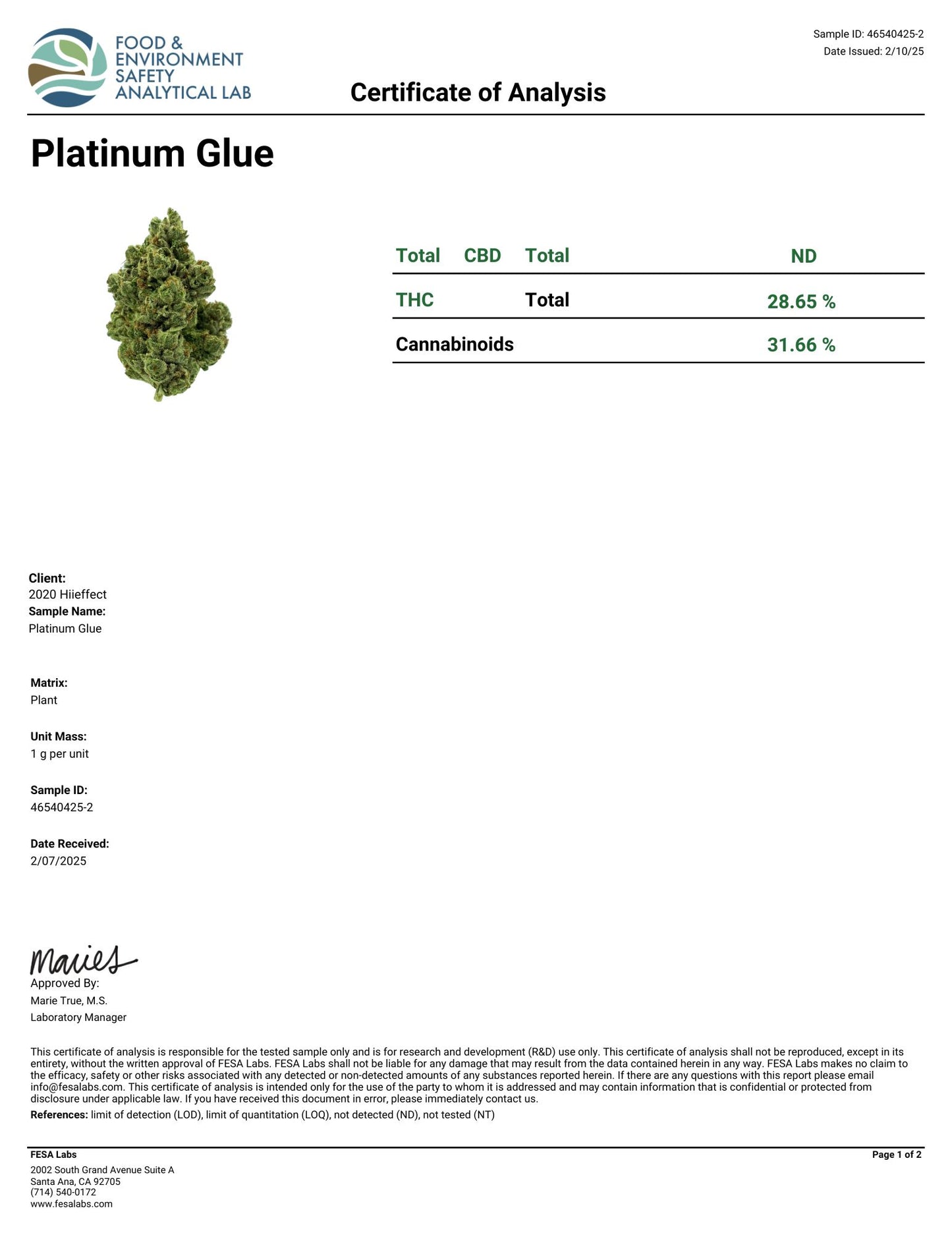 Platinum Glue