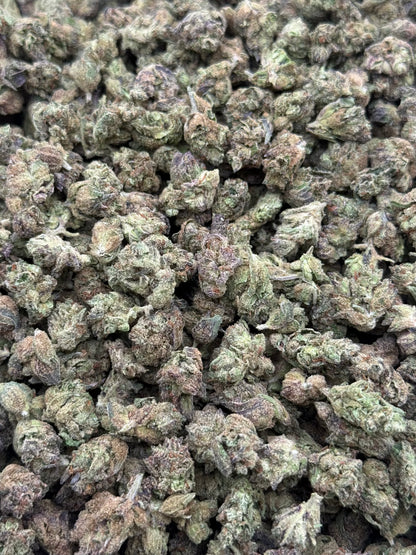 8 Ball #502