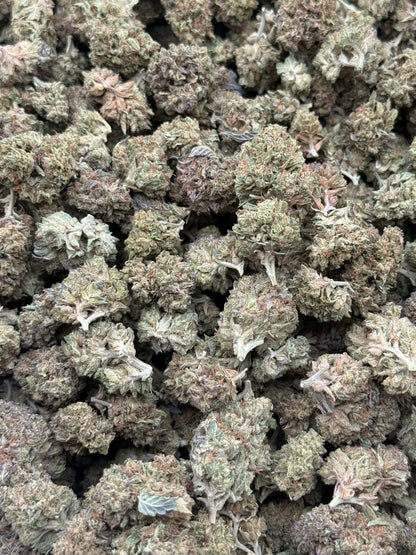 Afgoo #251