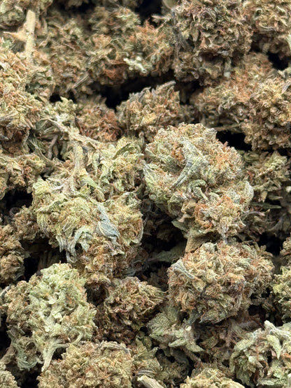 Alien Kush #463