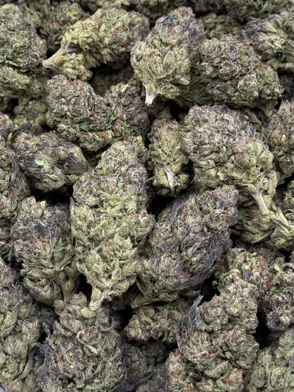 Animal Cookies #133 | QP