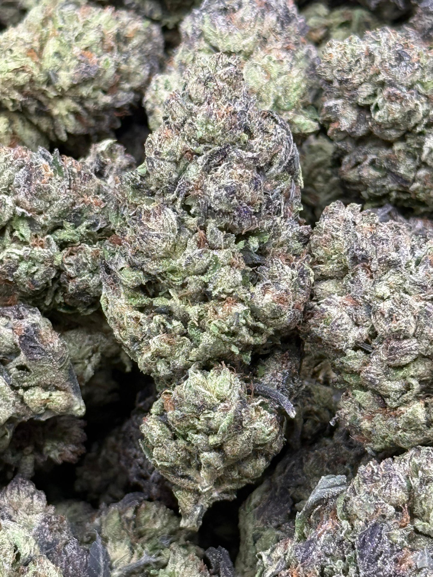 Animal Cookies #133 | QP