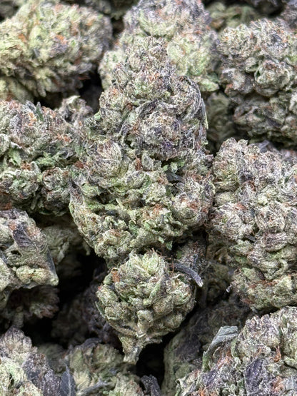 Animal Cookies #133 | QP