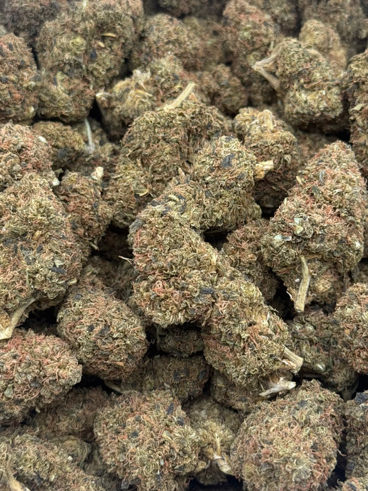 Apple Fritter #419 | QP