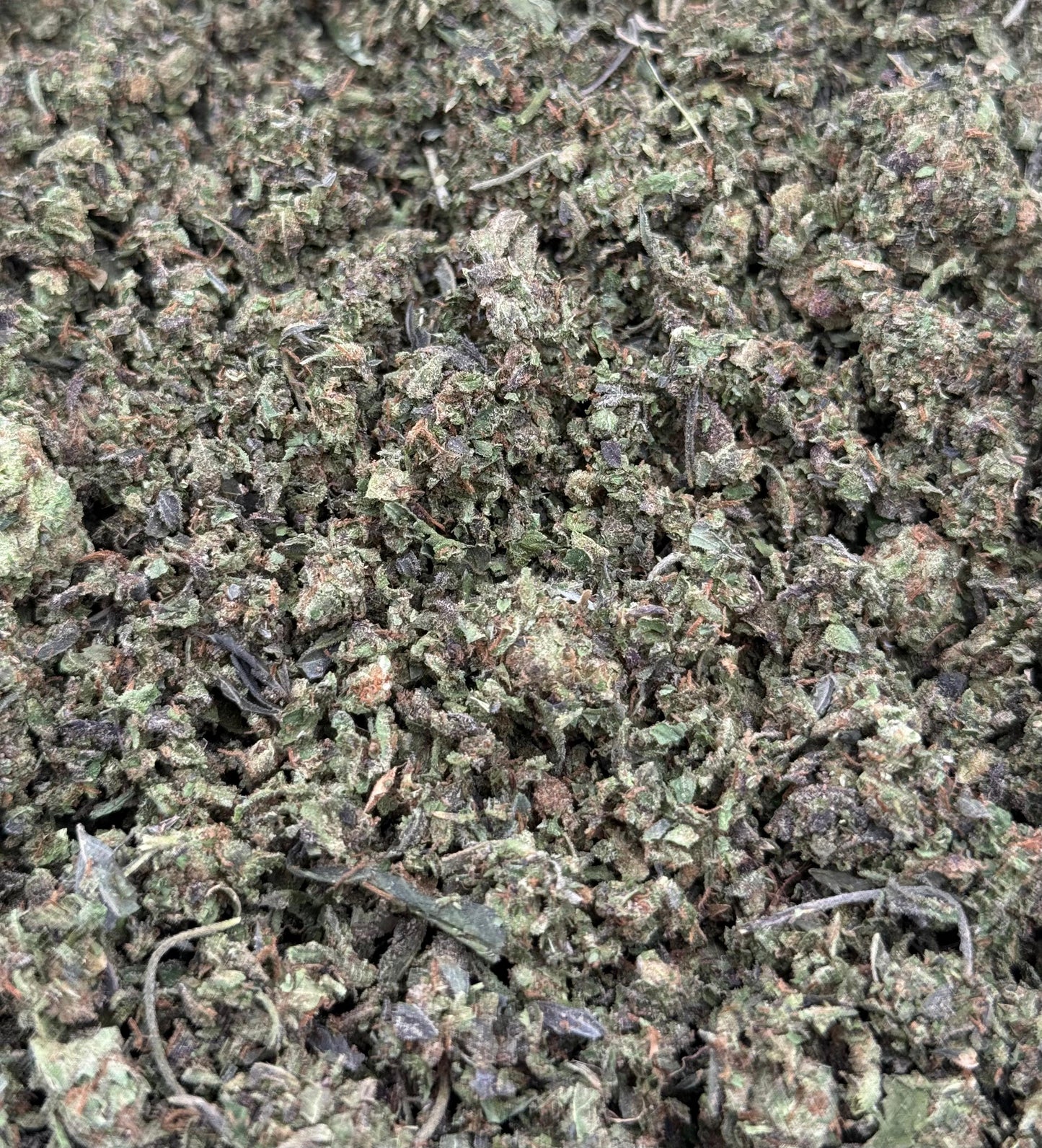 Apple Fritters Shake #68