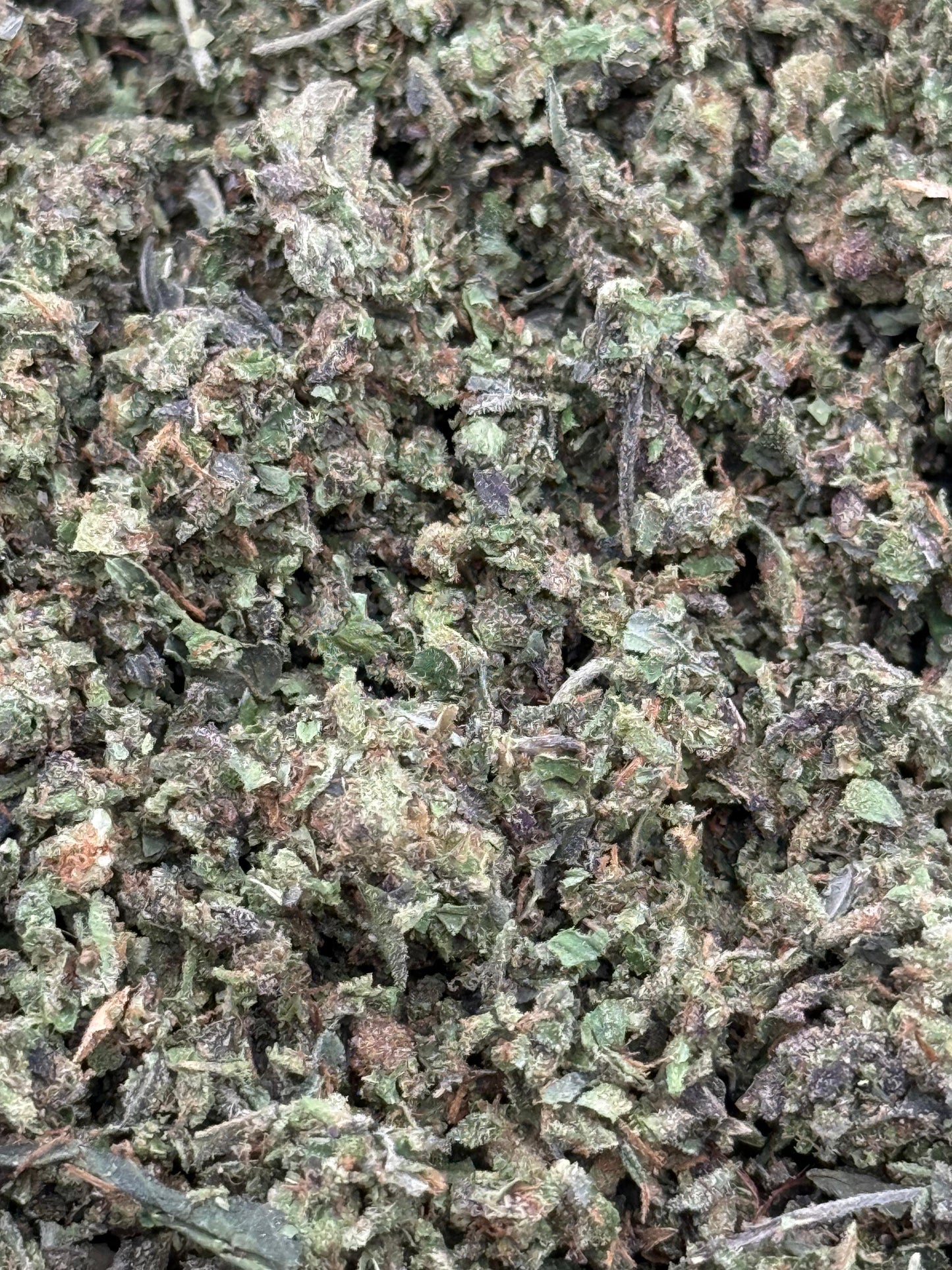 Apple Fritters Shake #68