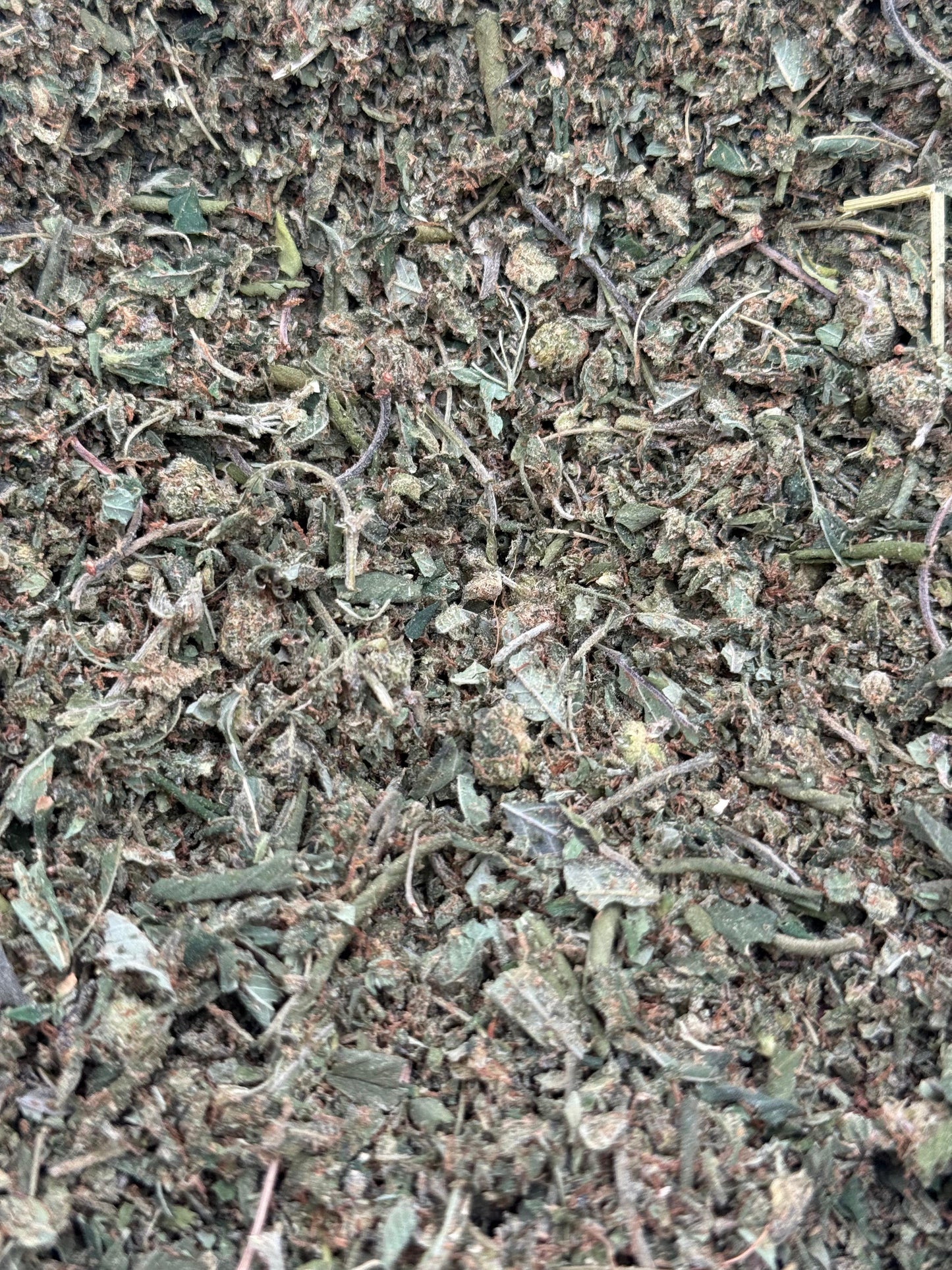 Apple Sauce Shake #118