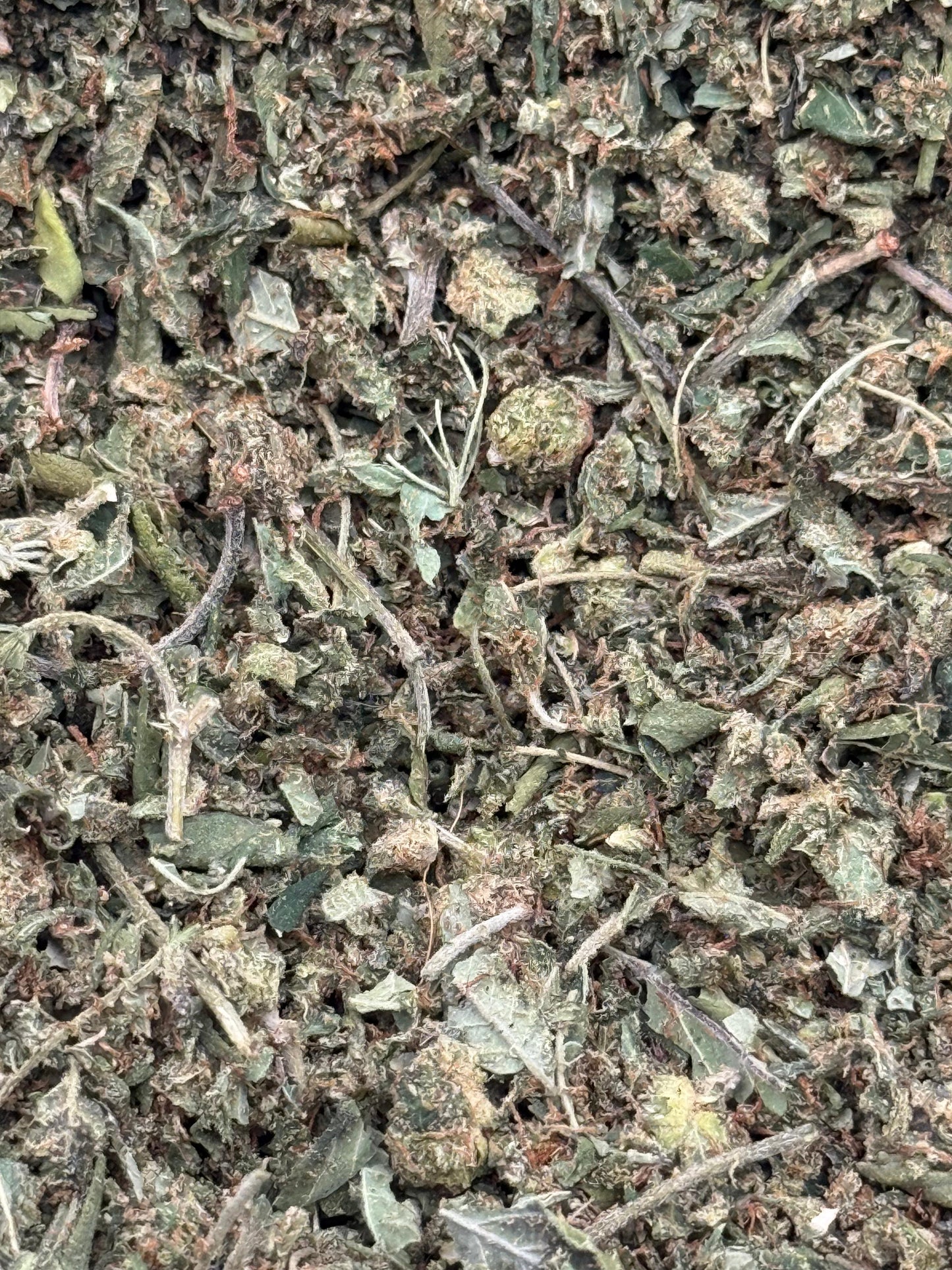 Apple Sauce Shake #118