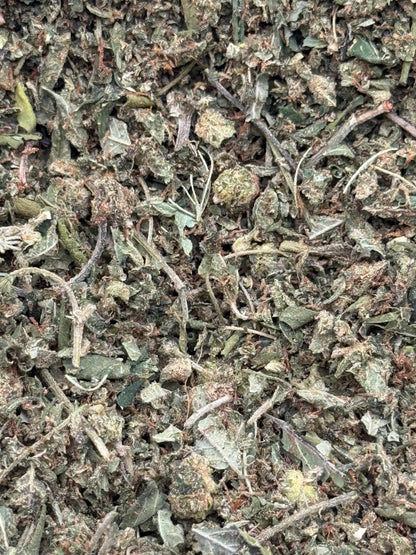 Apple Sauce Shake #118