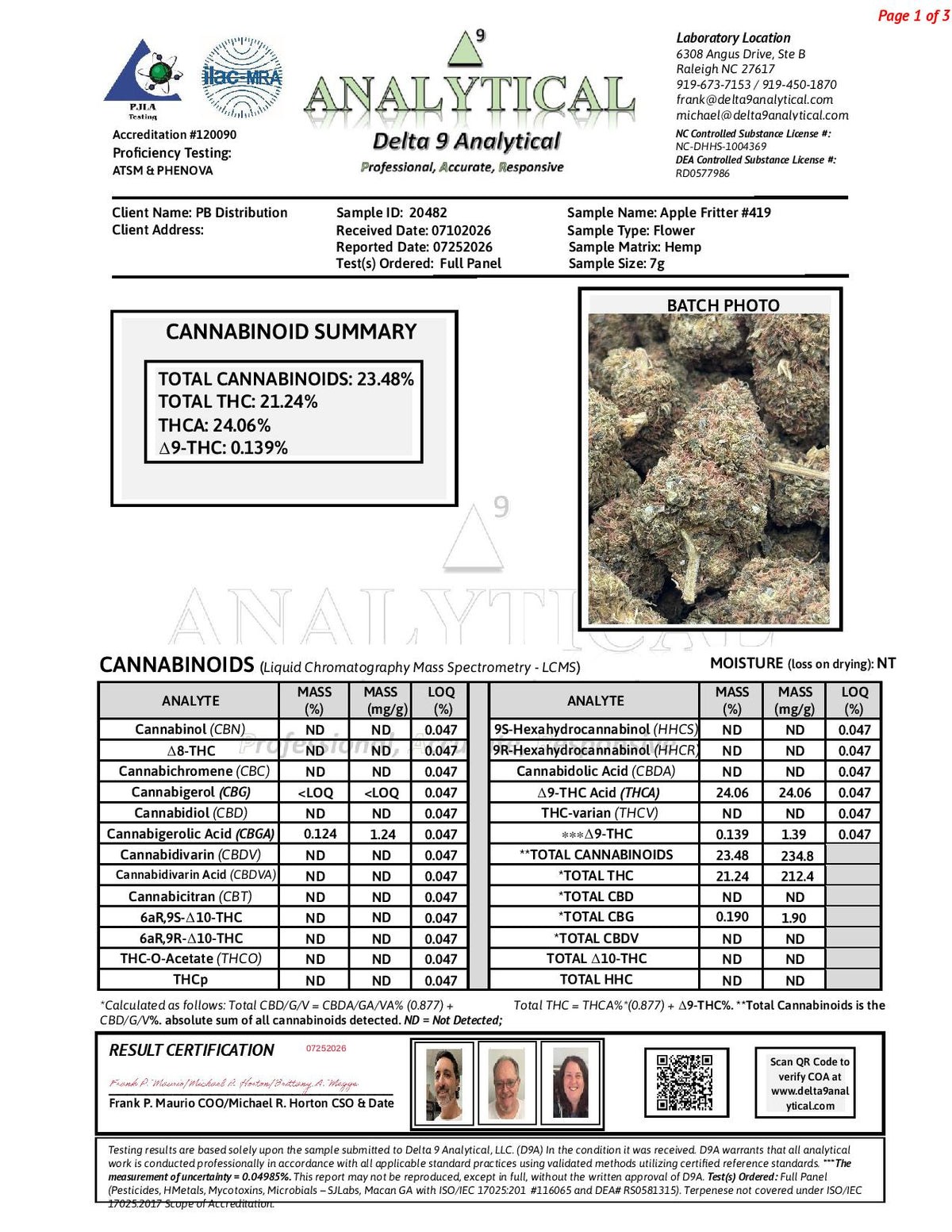 Apple Fritter #419 | QP