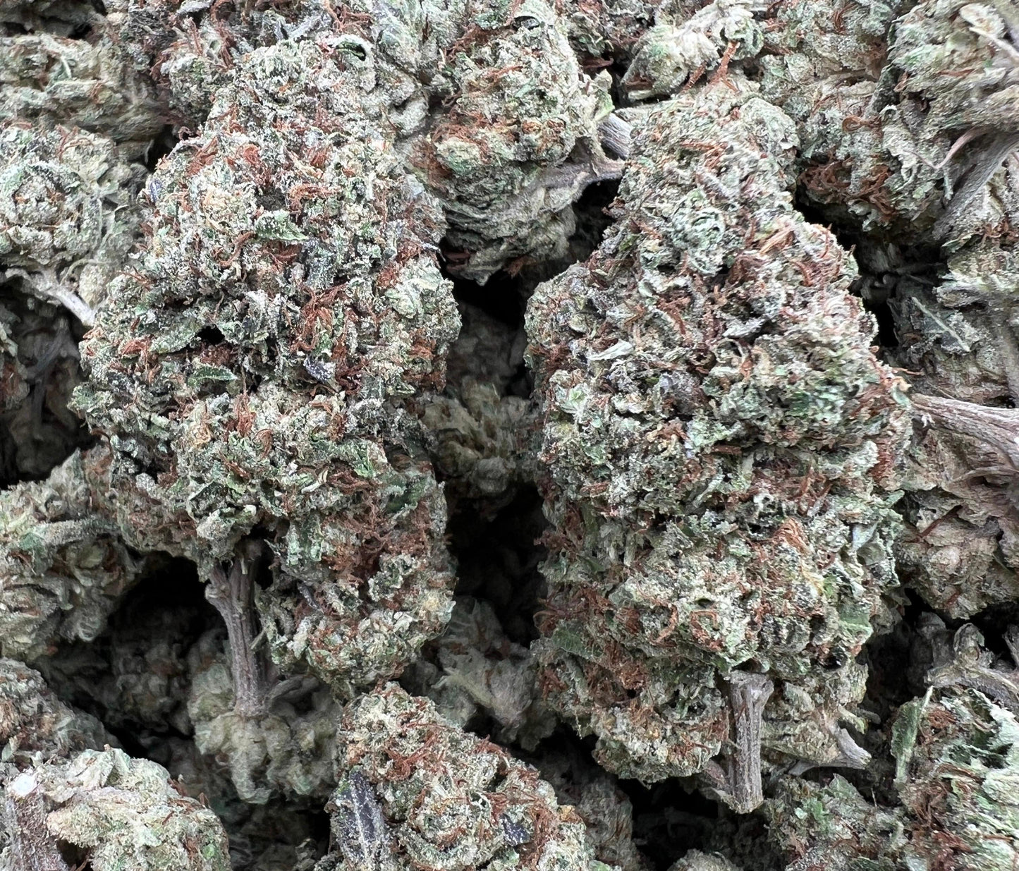 Apples N Bananas
