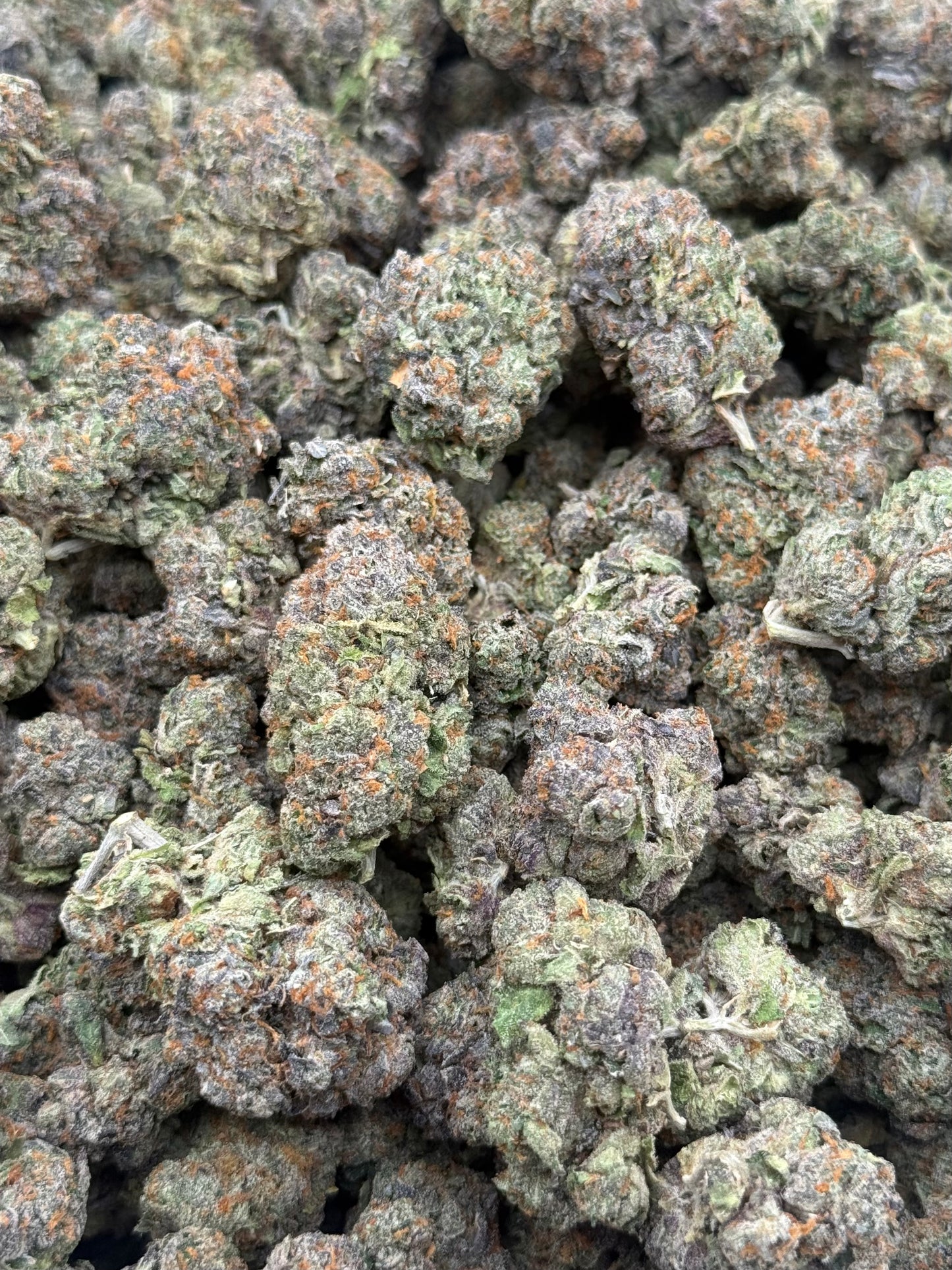 Bacio #349 | QP