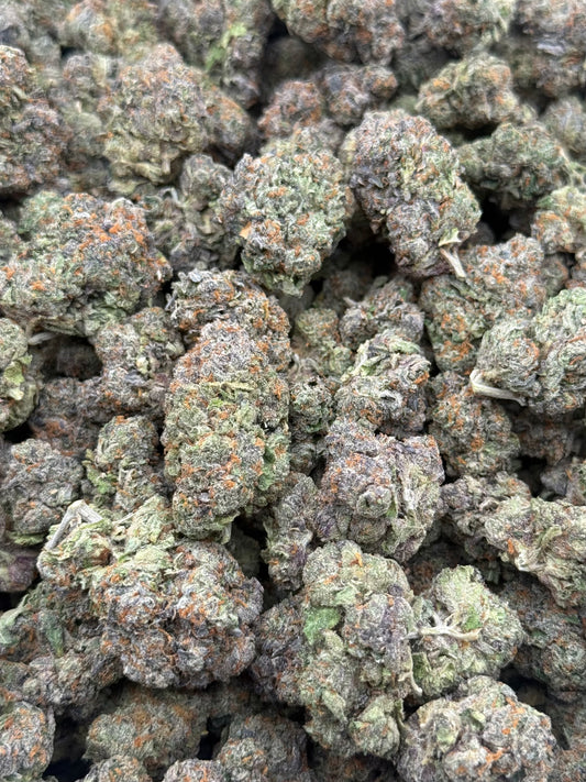 Bacio #349 | QP