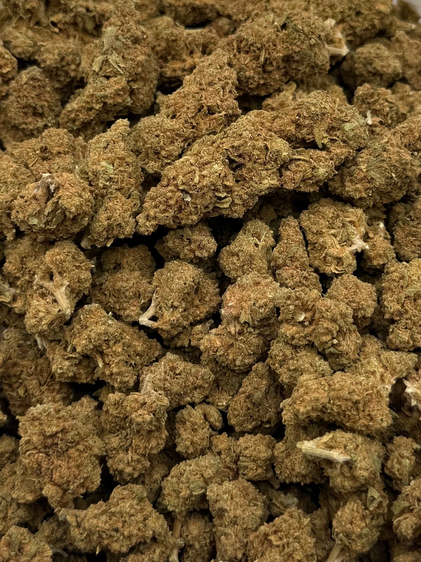 Bacio #405 | QP