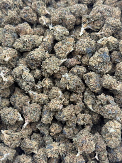 Banana Creme #439