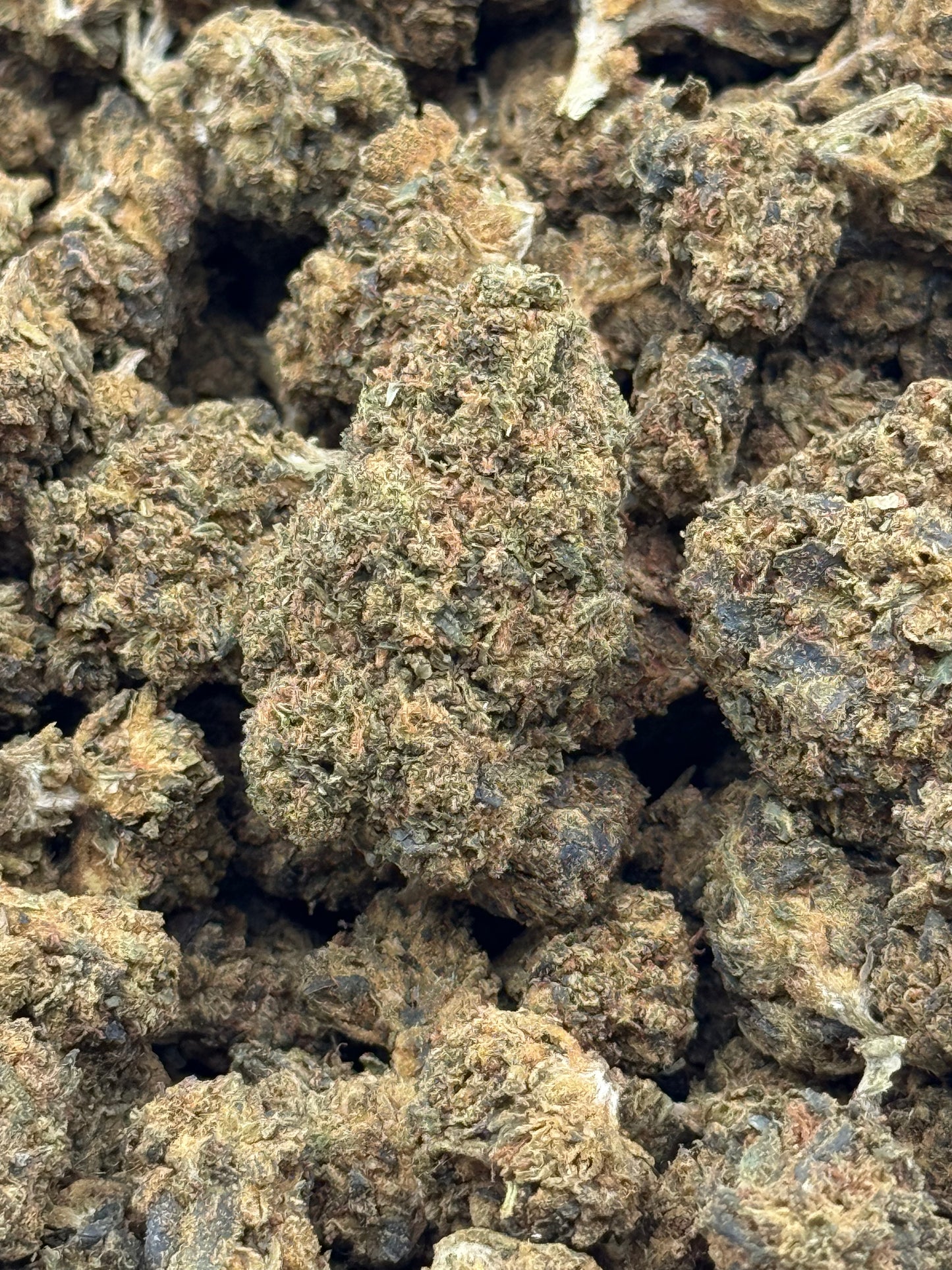 Banana Creme #439