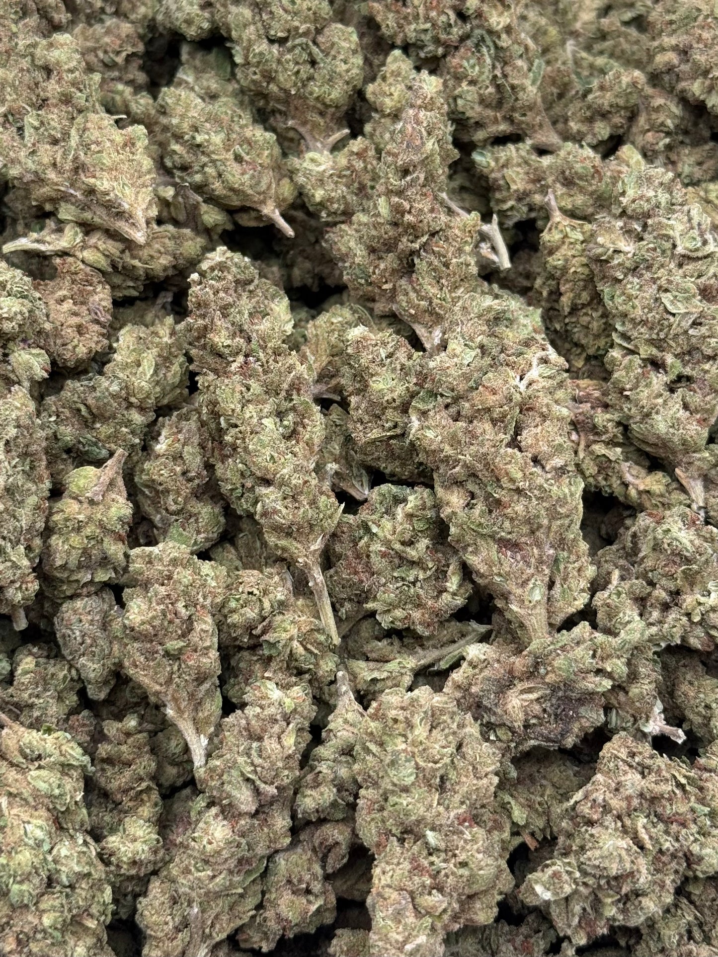 Banana Kush #335 | QP