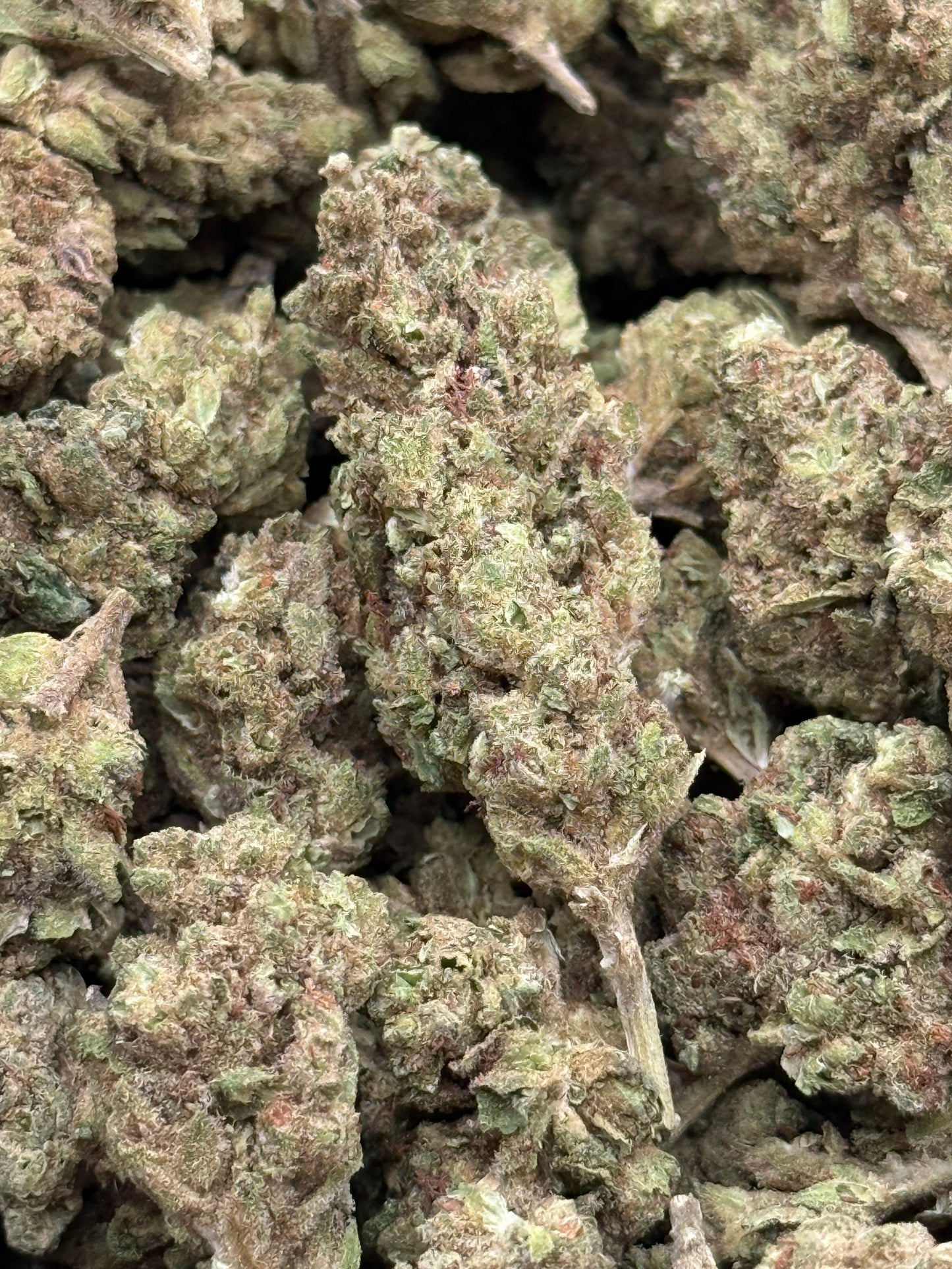 Banana Kush #335 | QP