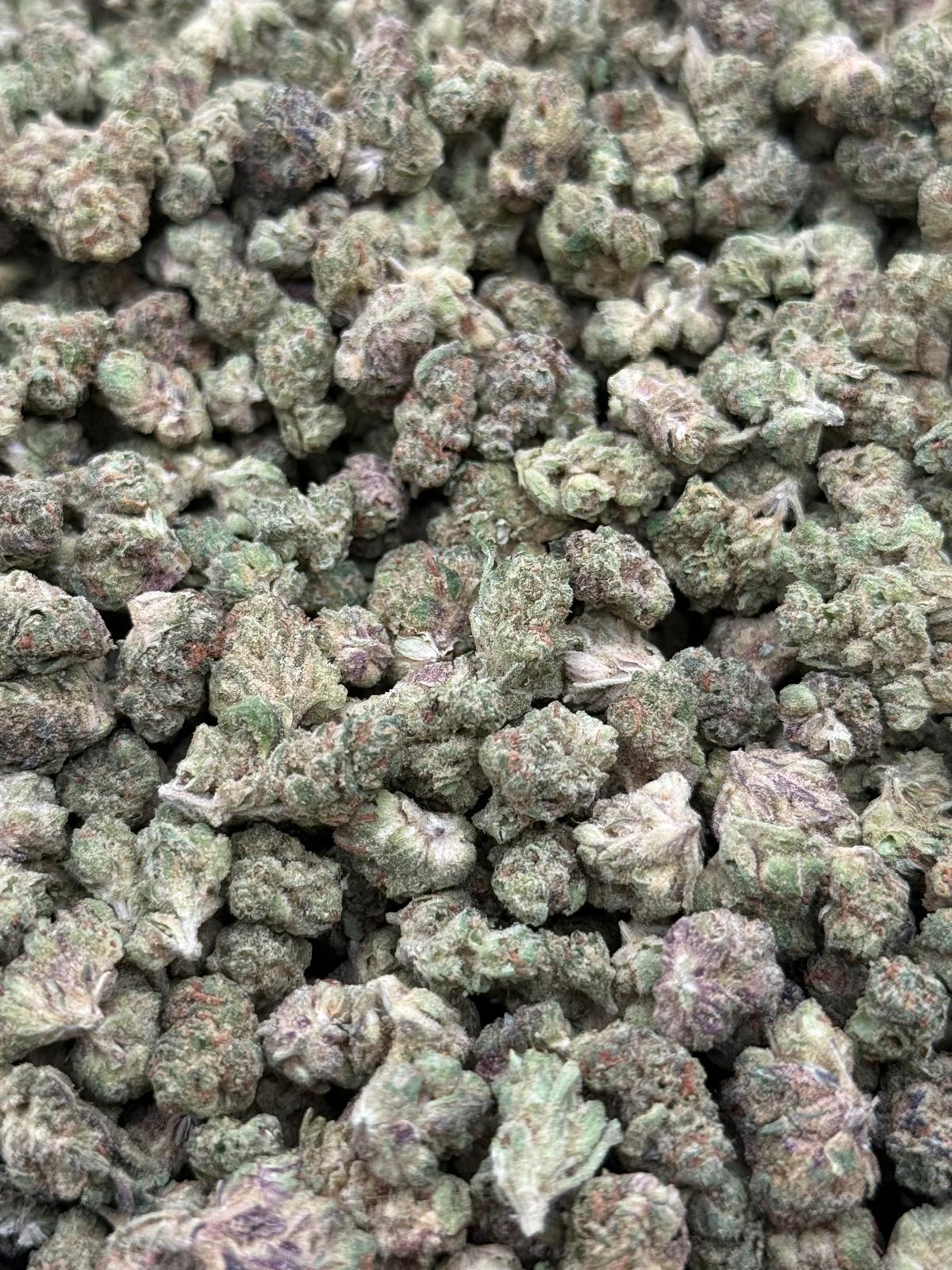 Biscotti #230