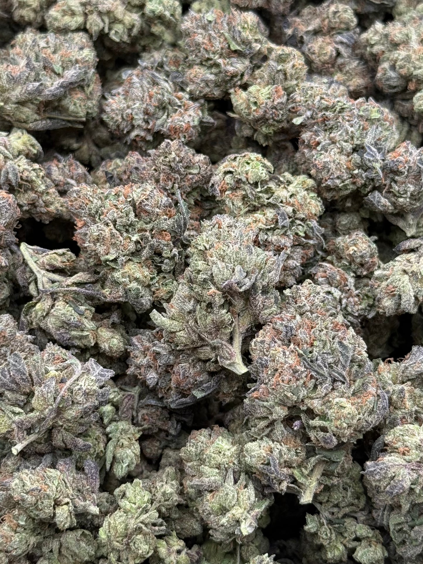 Black Ice #319 | 1/2 lb