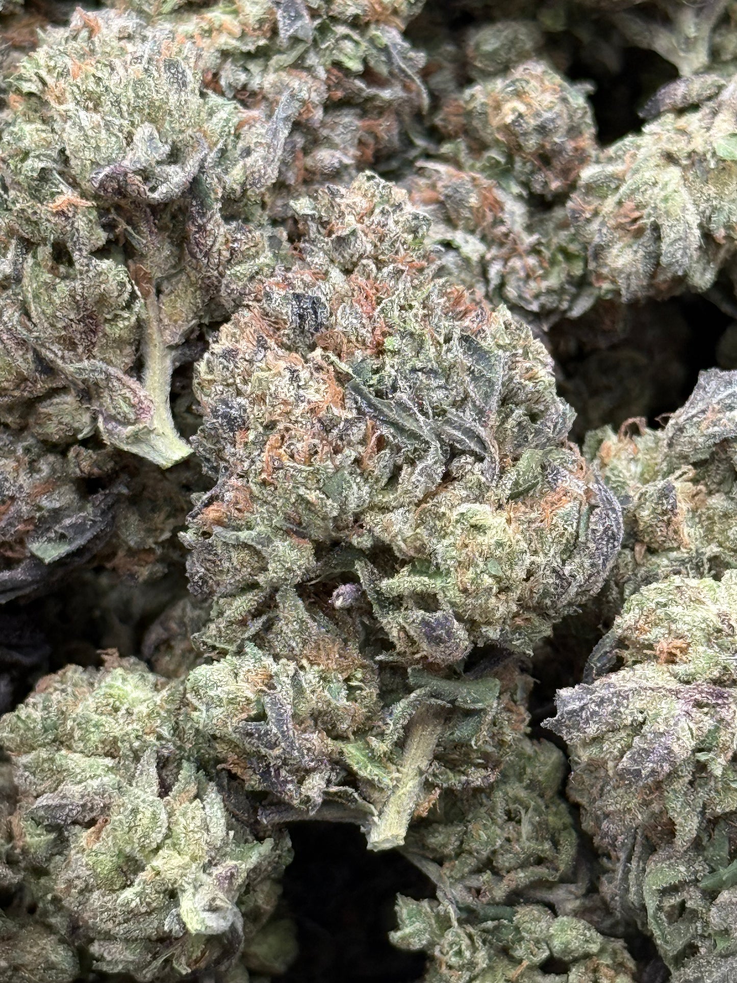 Black Ice #319 | 1/2 lb