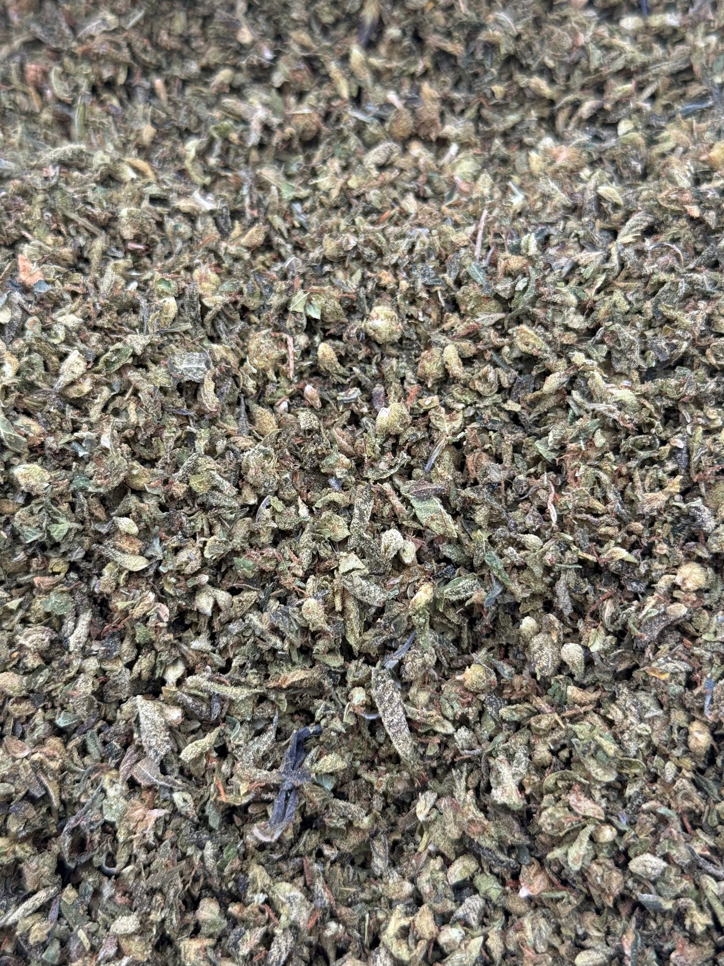 Black Jack Shake #314