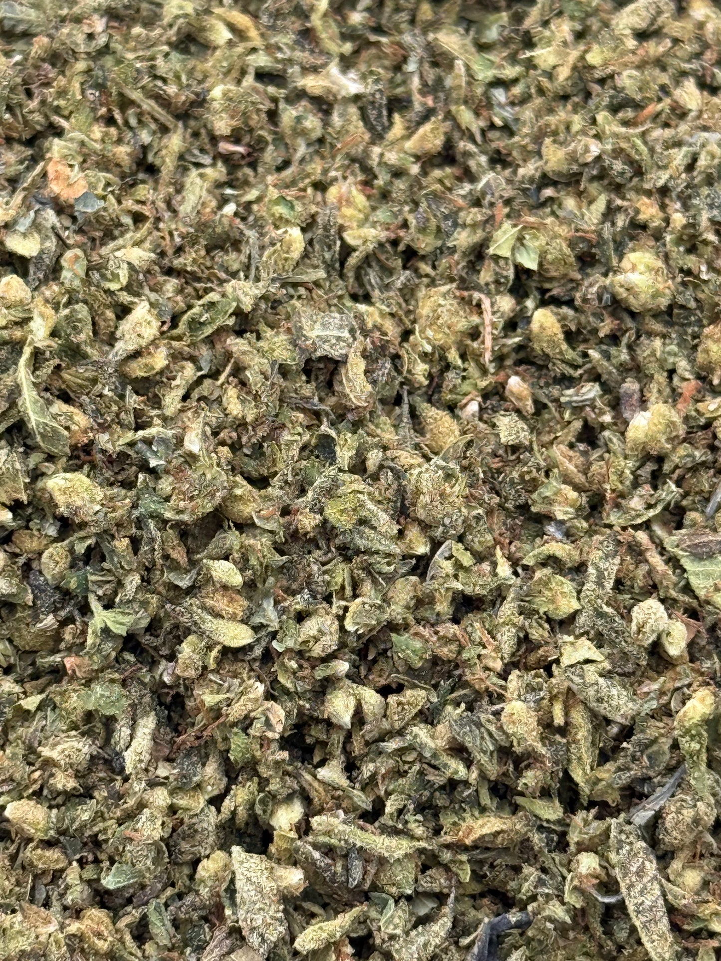 Black Jack Shake #314