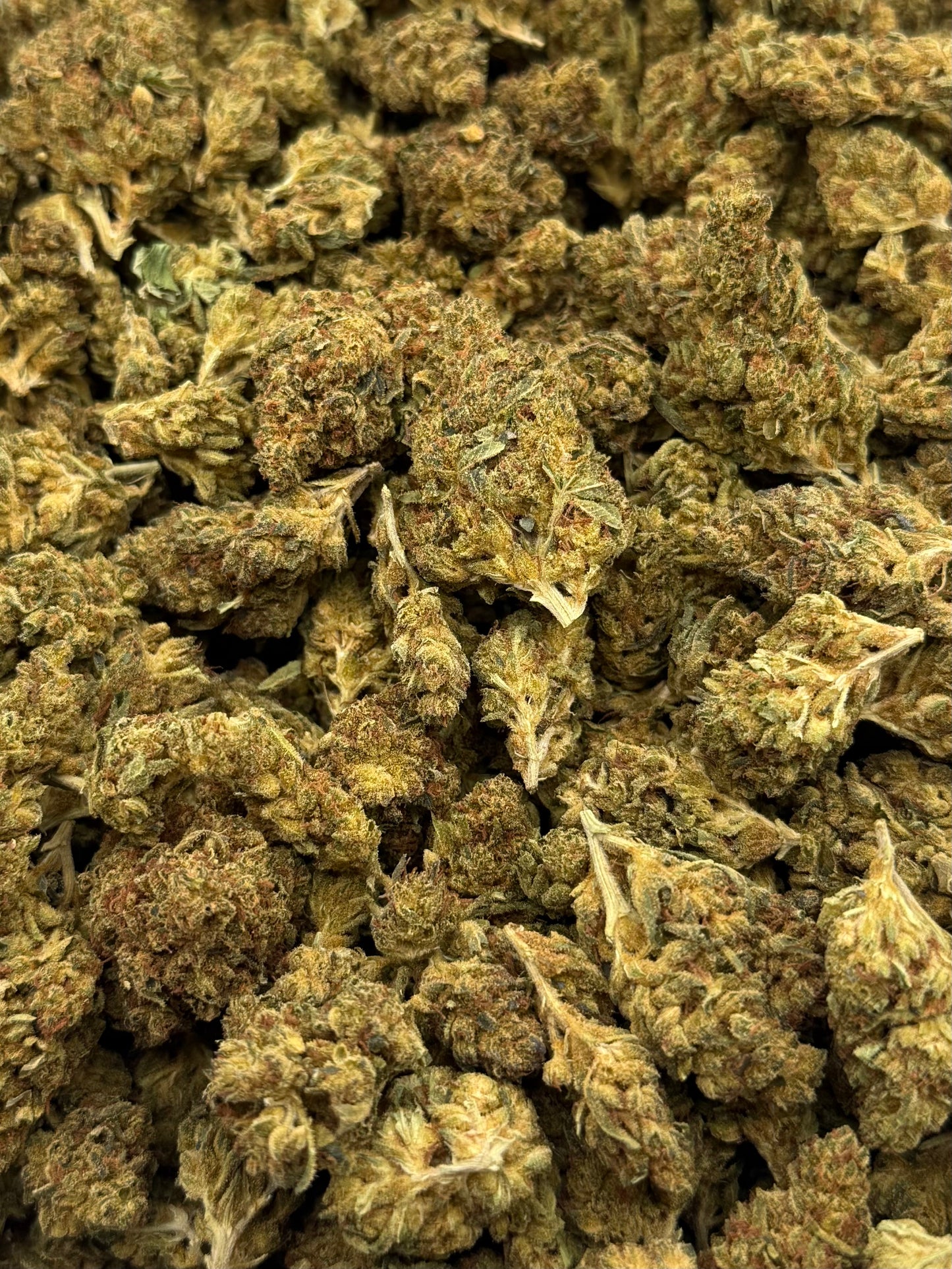 BlackOut OG #255