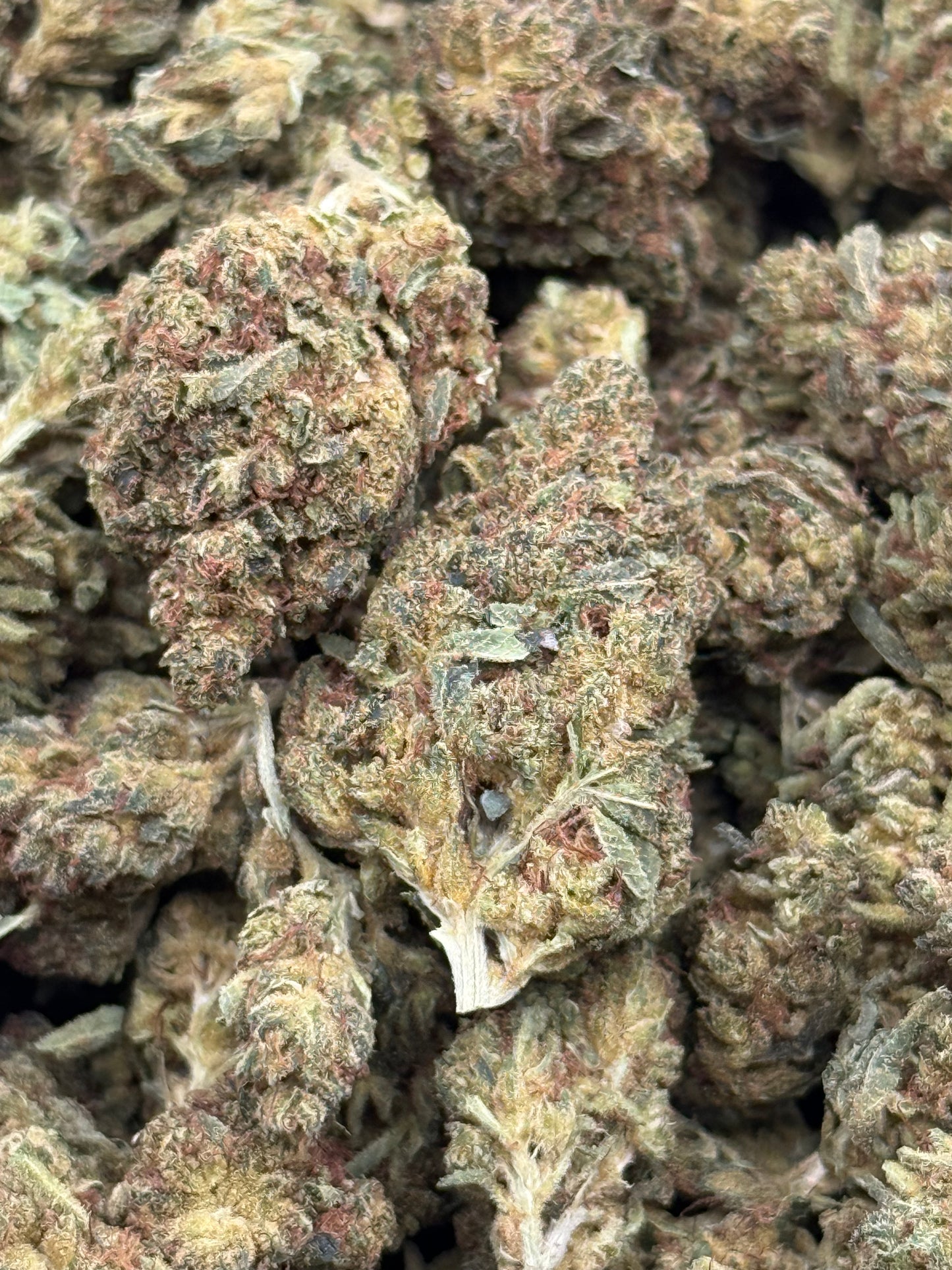 BlackOut OG #255