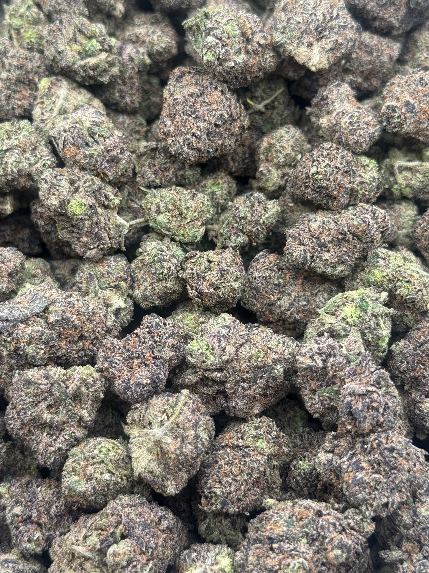 Blue Chips #344 | QP