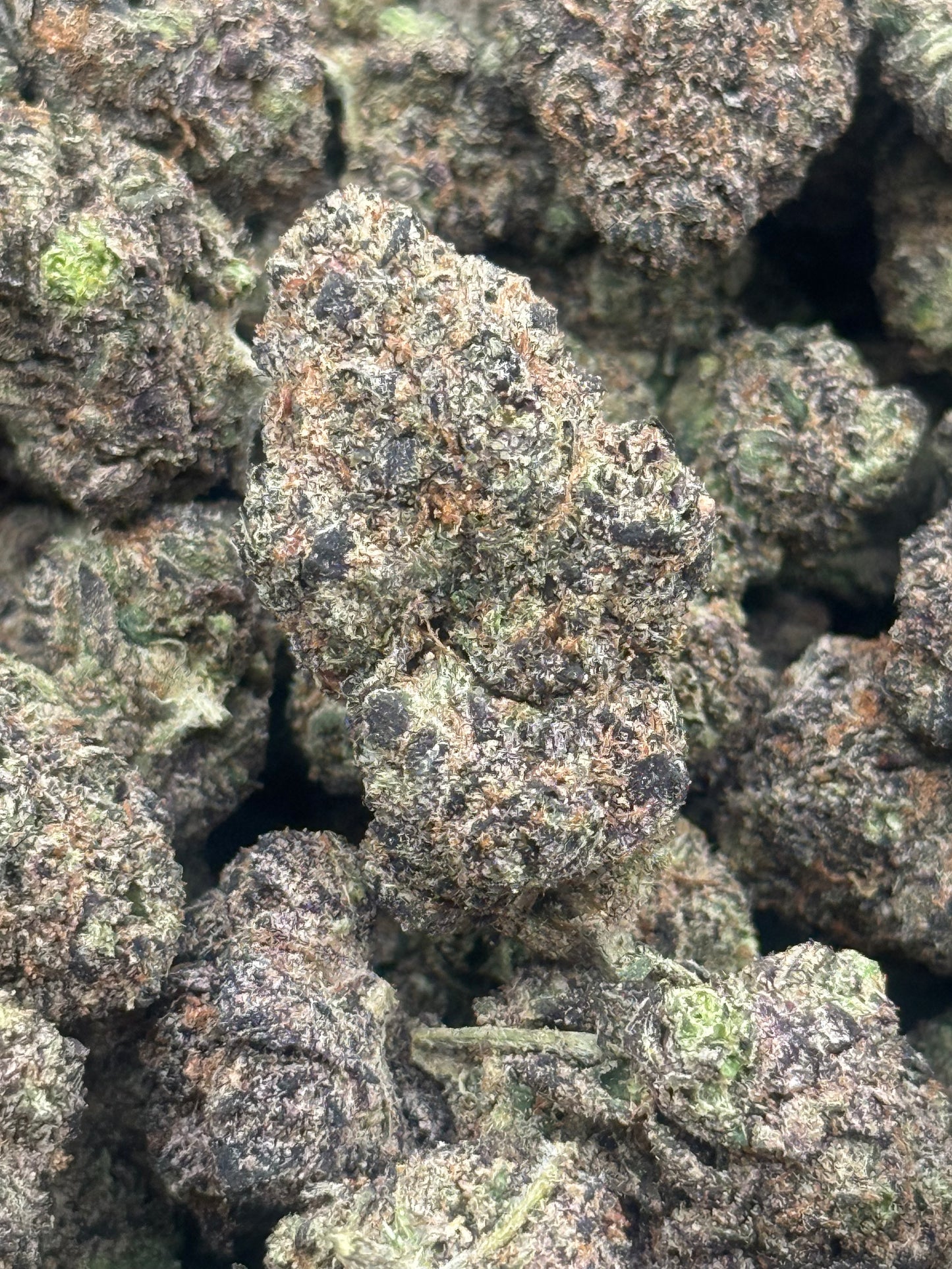 Blue Chips #344 | QP