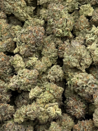 Blue Dolphin #92 | 1/2 lb