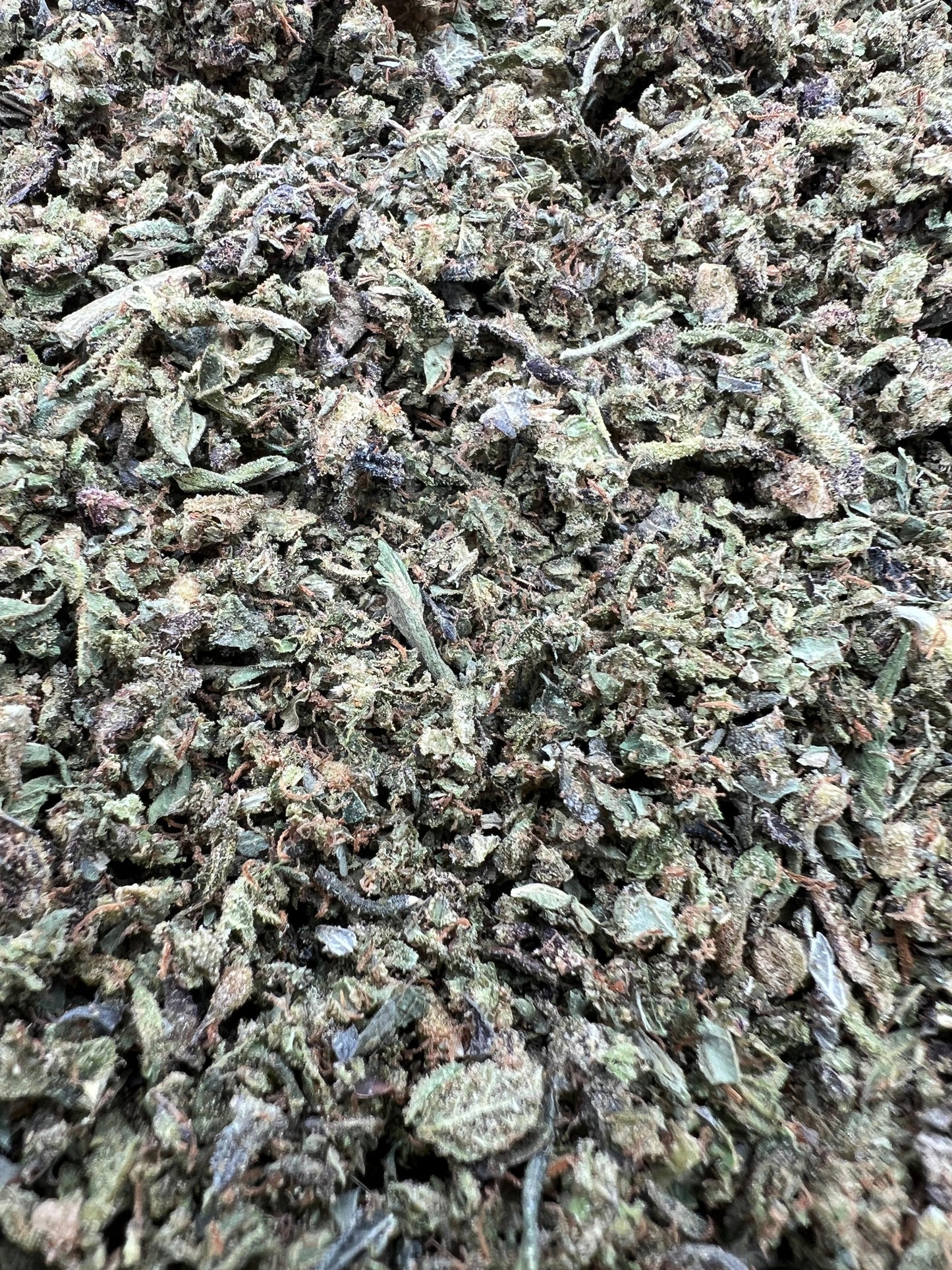 Rainbow Drip #169 Shake