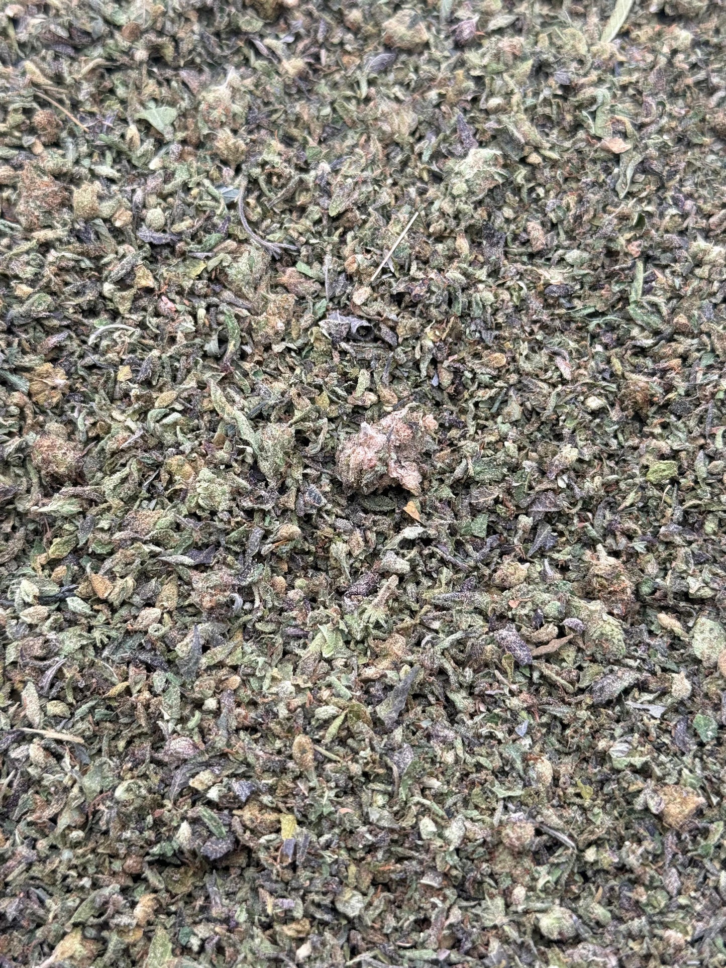 Blue Face #193 Shake