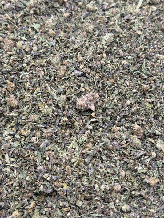 Blue Face #193 Shake