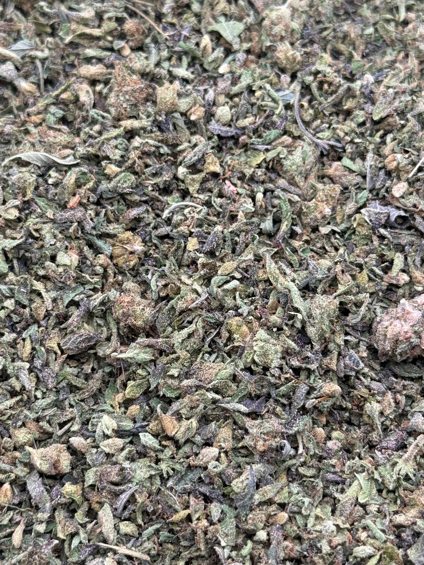 Blue Face #193 Shake
