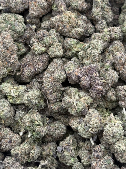 Blue Face #352 | QP