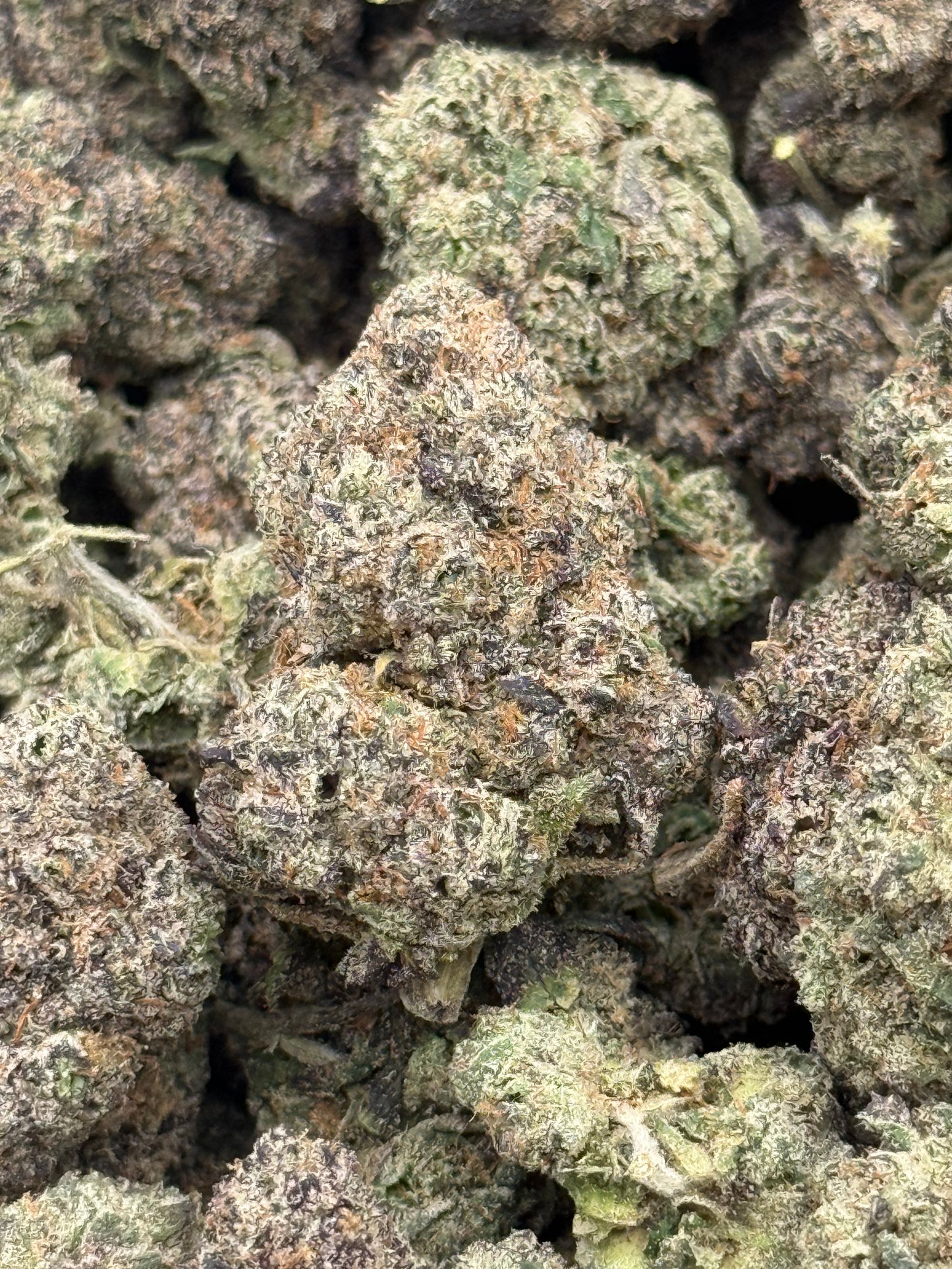 Blue Face #352 | QP