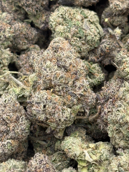 Blue Face #352 | QP