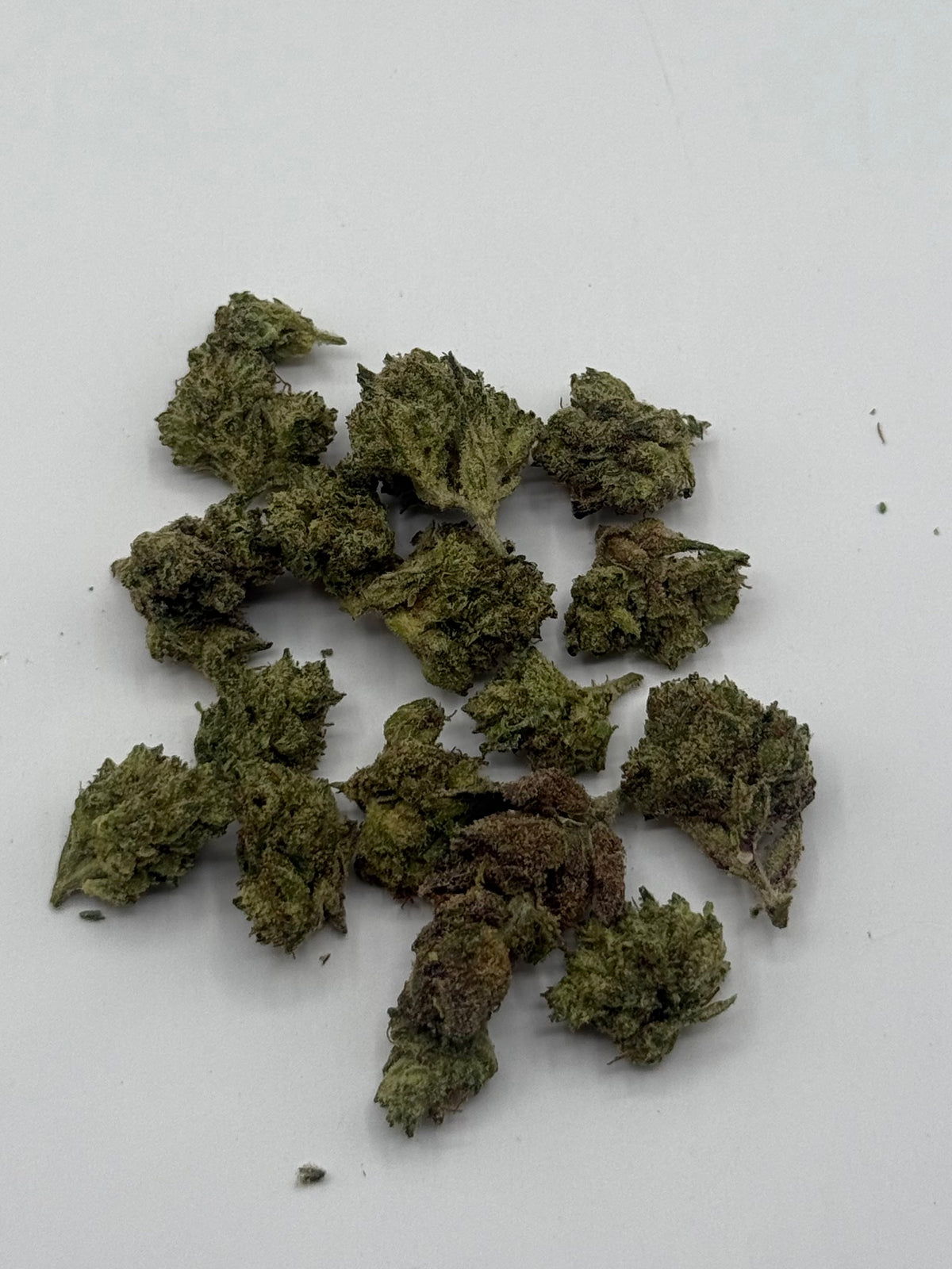 Blue Panda #487