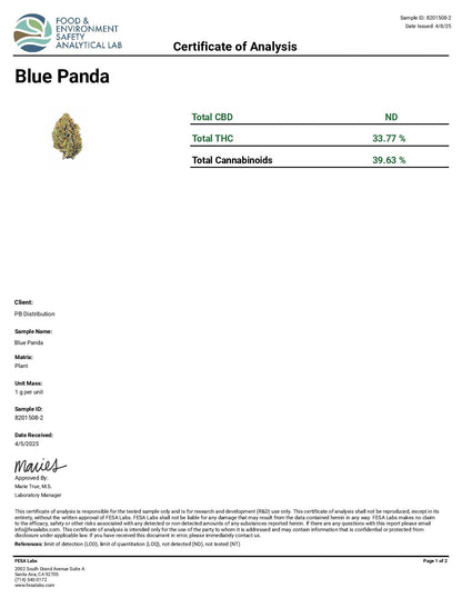 Blue Panda